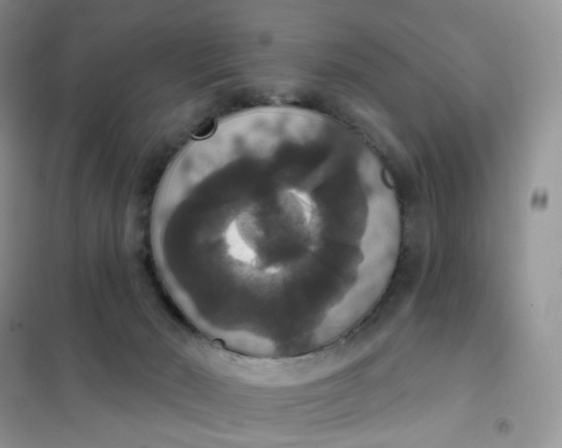 X0000102040030200808011521