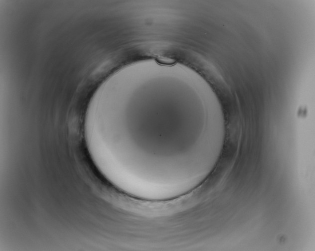 X0000102040031200808011521