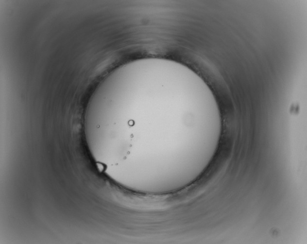 X0000102040032200808011521