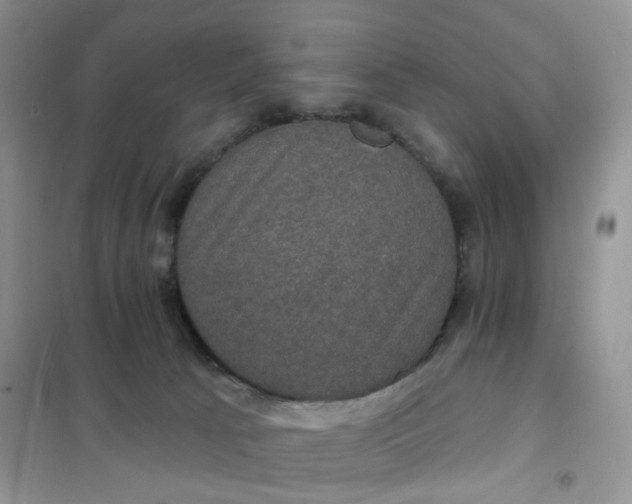 X0000102040033200808011521