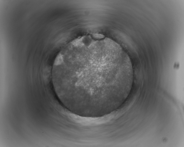 X0000102040034200808011521