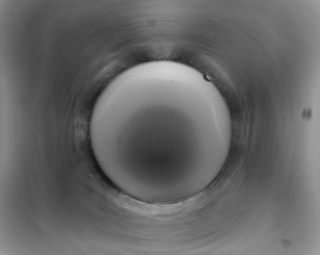 X0000102040035200808011521