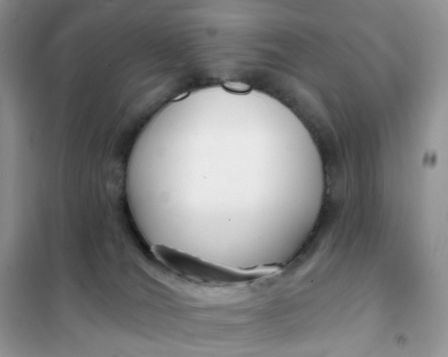 X0000102040036200808011521