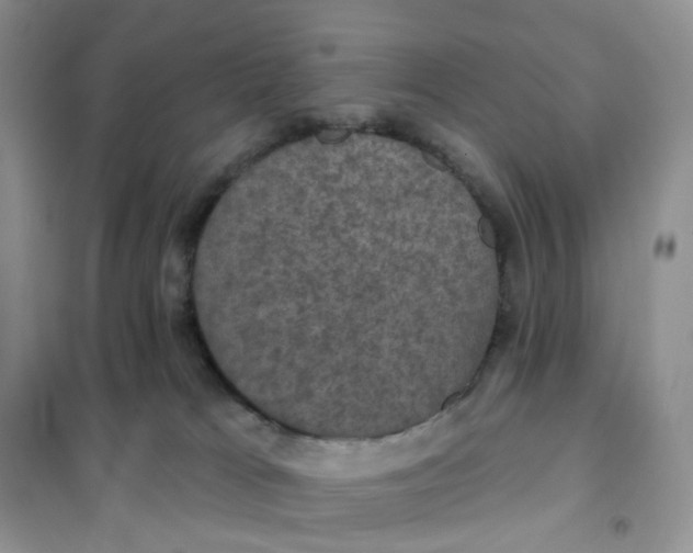 X0000102040037200808011521