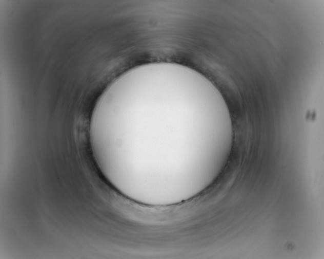 X0000102040038200808011521