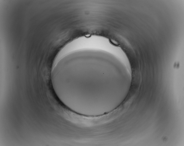 X0000102040039200808011521