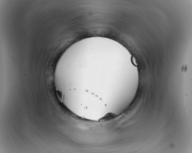 X0000102040040200808011521