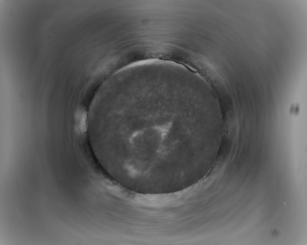 X0000102040041200808011521