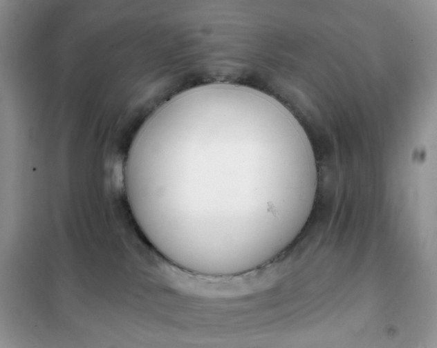 X0000102040042200808011521