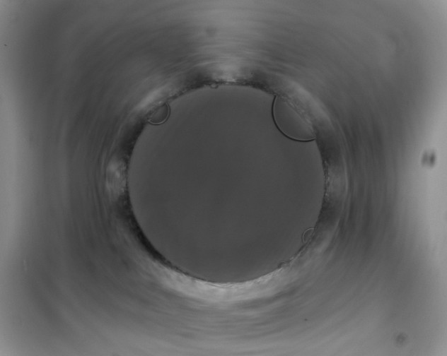 X0000102040043200808011521