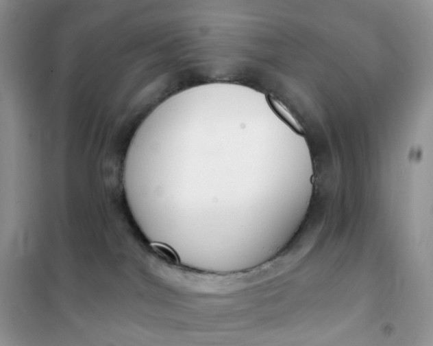 X0000102040044200808011521