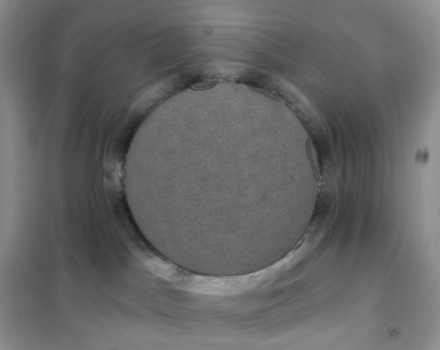 X0000102040045200808011521