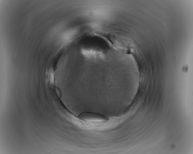 X0000102040046200808011521