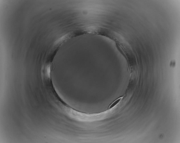 X0000102040047200808011521