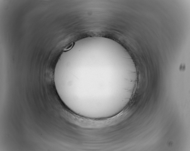 X0000102040048200808011521