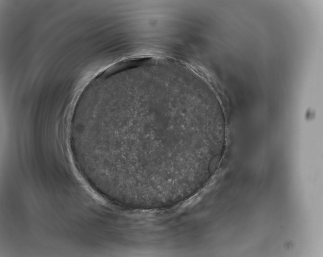 X0000102040049200808011520