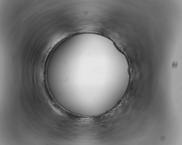 X0000102040050200808011520