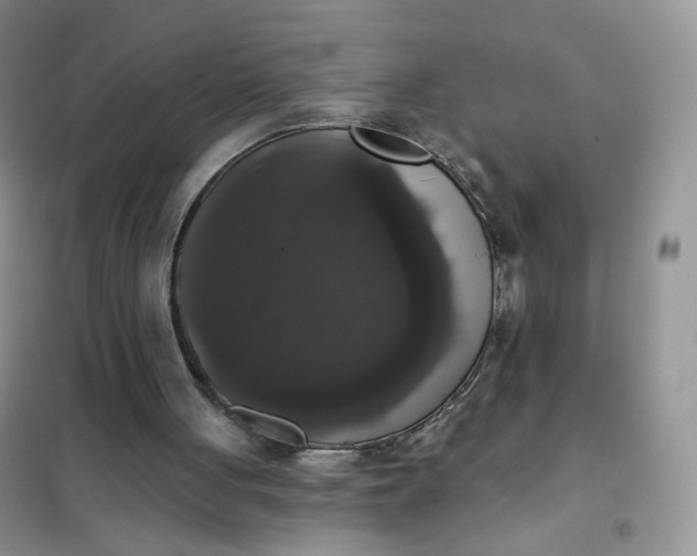 X0000102040051200808011520