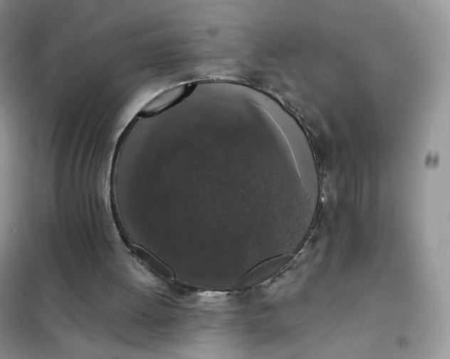 X0000102040052200808011520