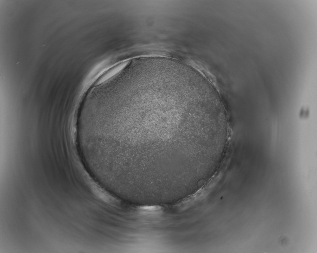 X0000102040053200808011520