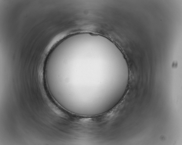 X0000102040054200808011520