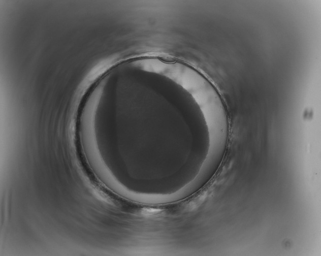 X0000102040055200808011520