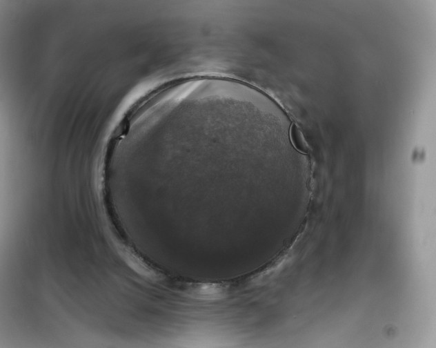 X0000102040056200808011520