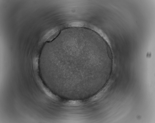 X0000102040057200808011520