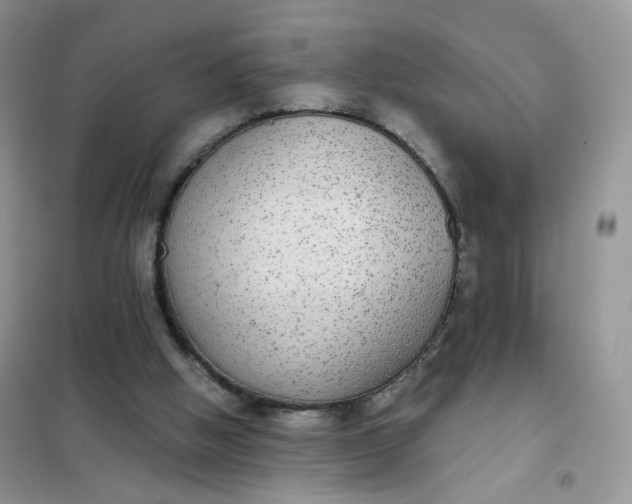 X0000102040058200808011520