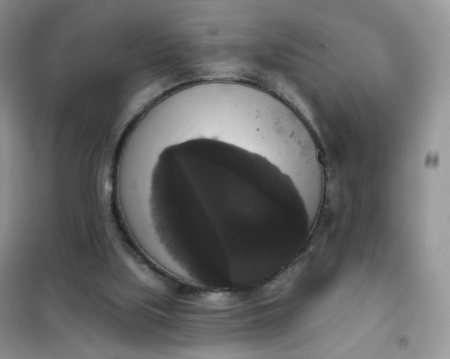 X0000102040059200808011520