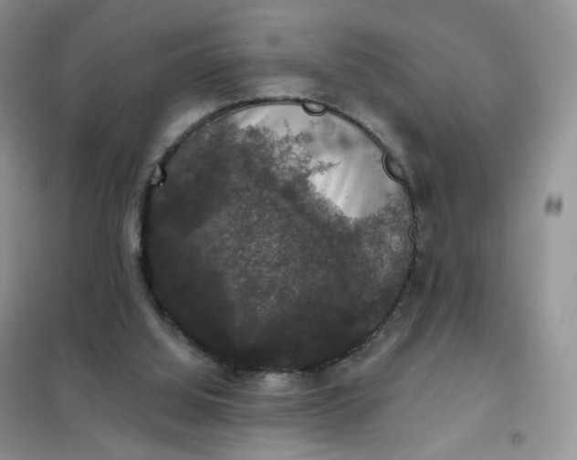 X0000102040060200808011520