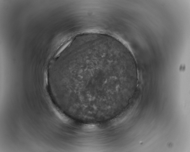 X0000102040061200808011520