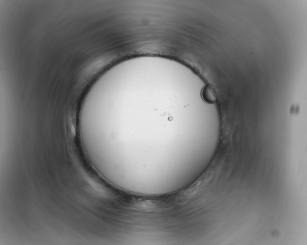 X0000102040062200808011520