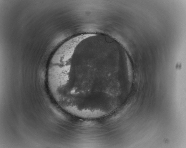 X0000102040063200808011520