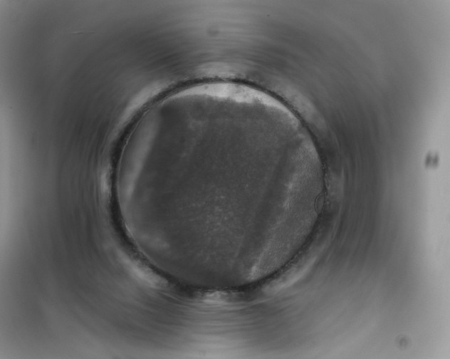 X0000102040064200808011520