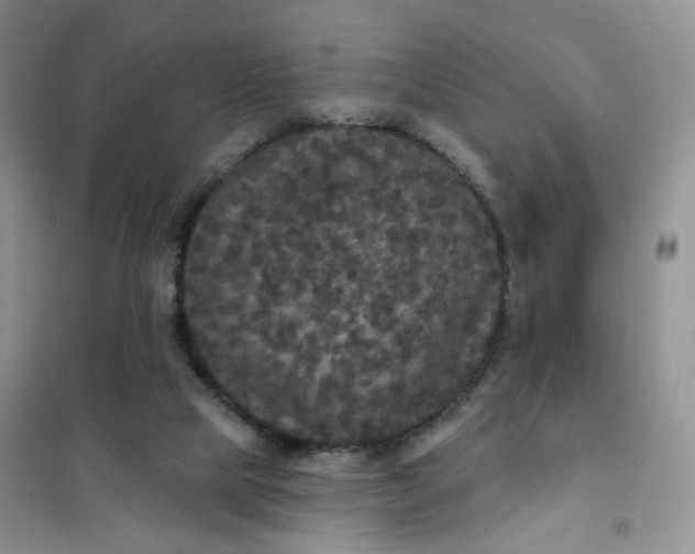 X0000102040065200808011520