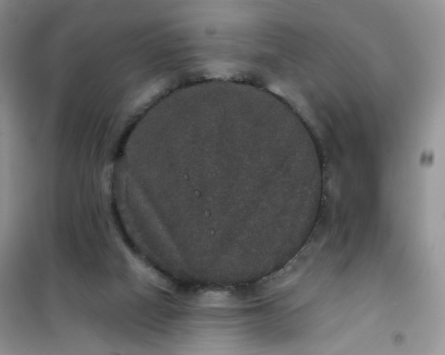 X0000102040066200808011520