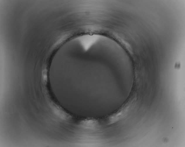 X0000102040067200808011520