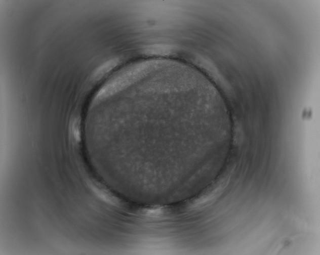 X0000102040068200808011520