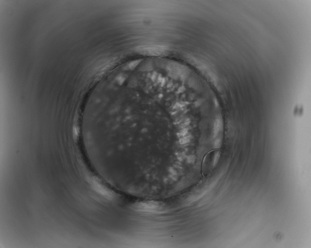 X0000102040069200808011520