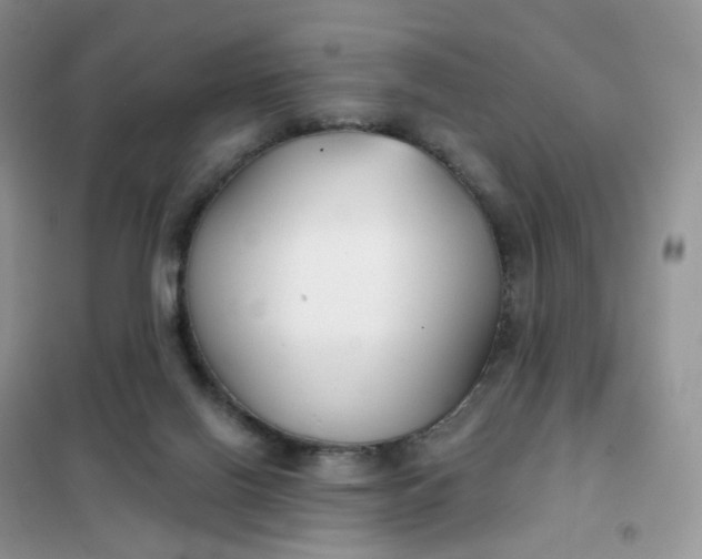 X0000102040070200808011520