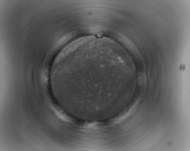 X0000102040072200808011520