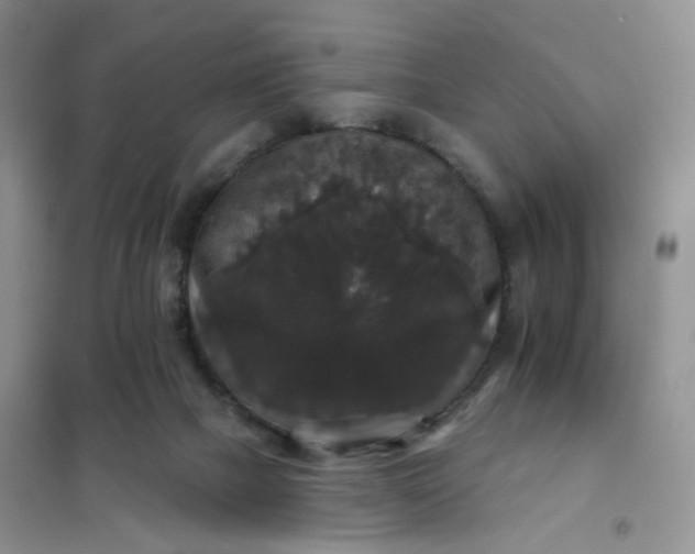 X0000102040073200808011520