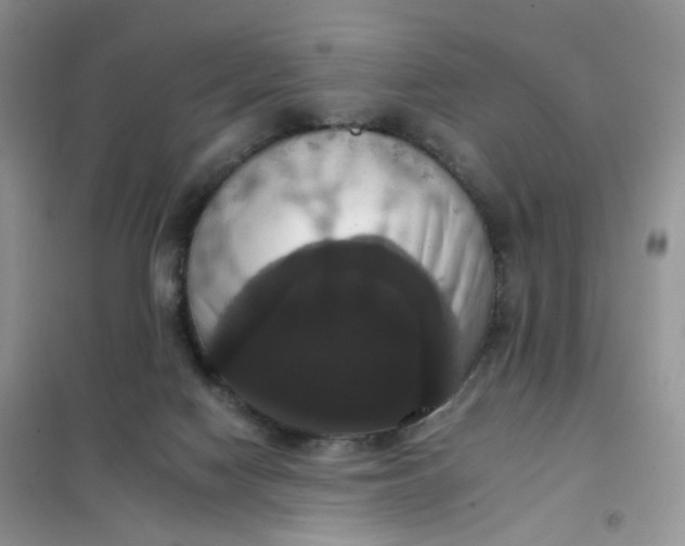 X0000102040074200808011520