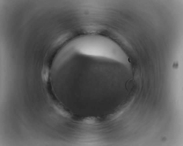 X0000102040076200808011520