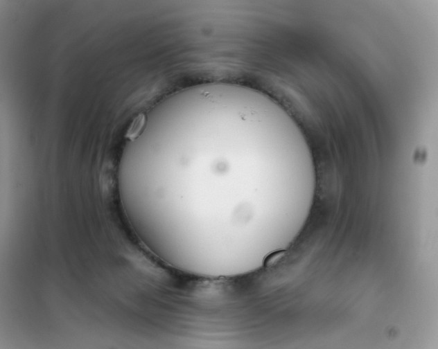 X0000102040077200808011520