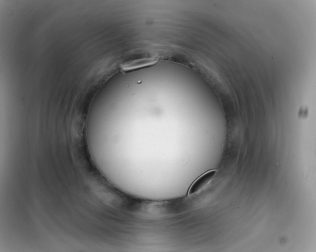 X0000102040078200808011520