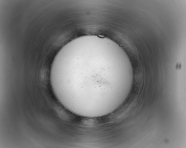 X0000102040079200808011520