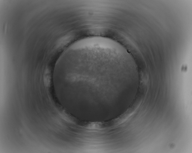 X0000102040080200808011520