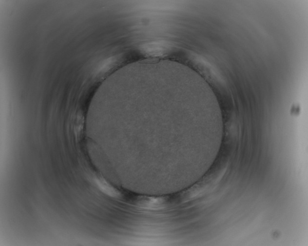 X0000102040081200808011520